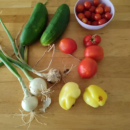 Vila House Beka Sibenik