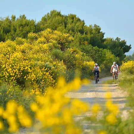 House Beka Vila Šibenik