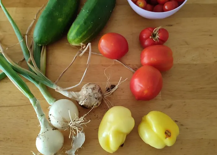 וילה House Beka שיבניק