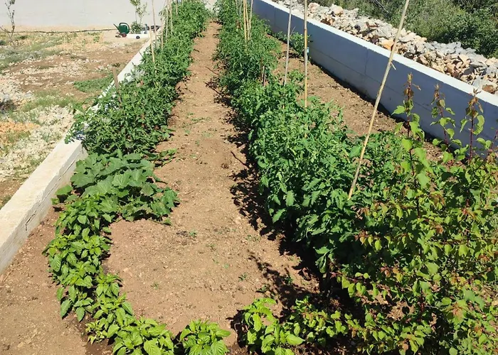 ヴィラ House Beka